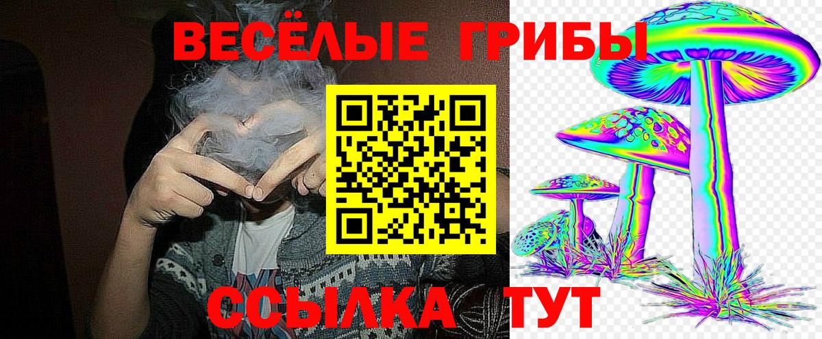 купить наркоту  Вход с VPN  Серов  Галлюциногенные грибы MAGIC MUSHROOMS 
